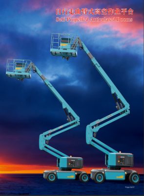 Xe Nâng Người Roshow